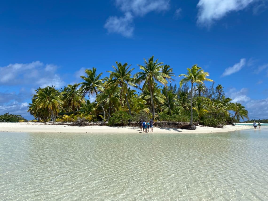 people on beach during daytime