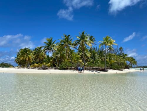 people on beach during daytime